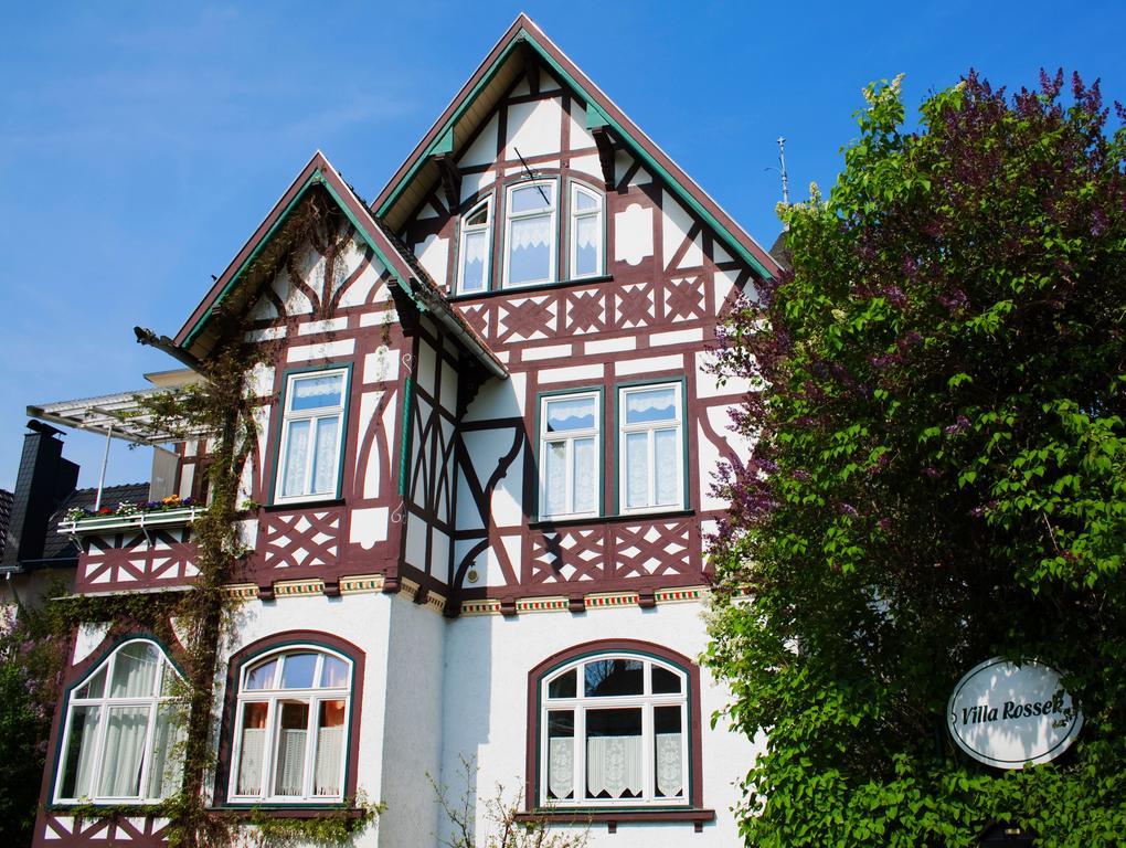 Hotel Villa Rossek Bad Liebenstein Luaran gambar